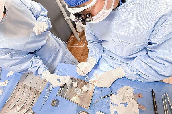 インプラントのイメージ